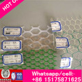 Chicken Mesh /Plastic Flat Net/Plastic Flat Netting Forpolyethylene and Plastic Grid Polypropylene